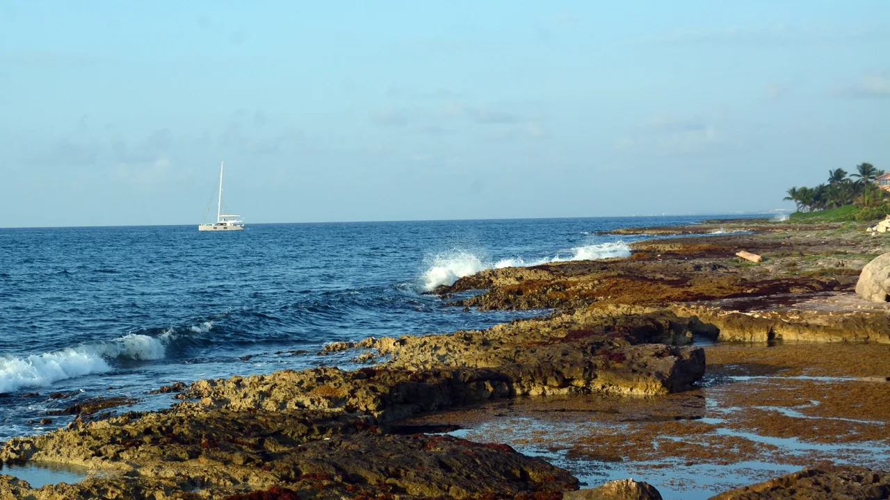 Hoteleros y Sectur acuerdan un plan emergente para enfrentar el sargazo en el Caribe Mexicano