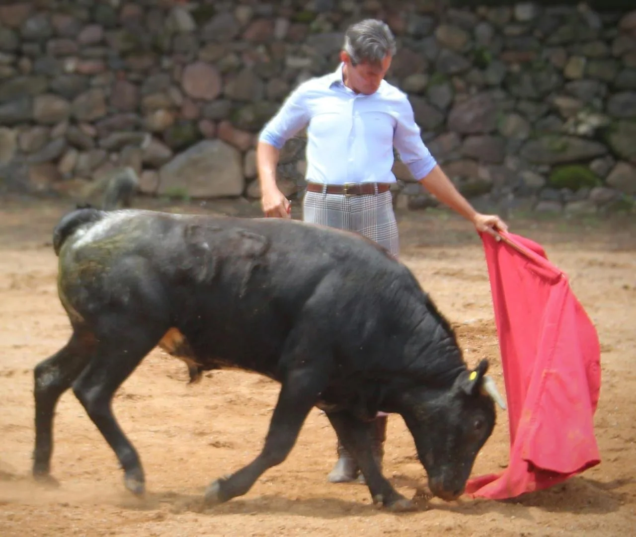 Diego Silveti viaja a España para continuar su temporada europea con dos corridas confirmadas