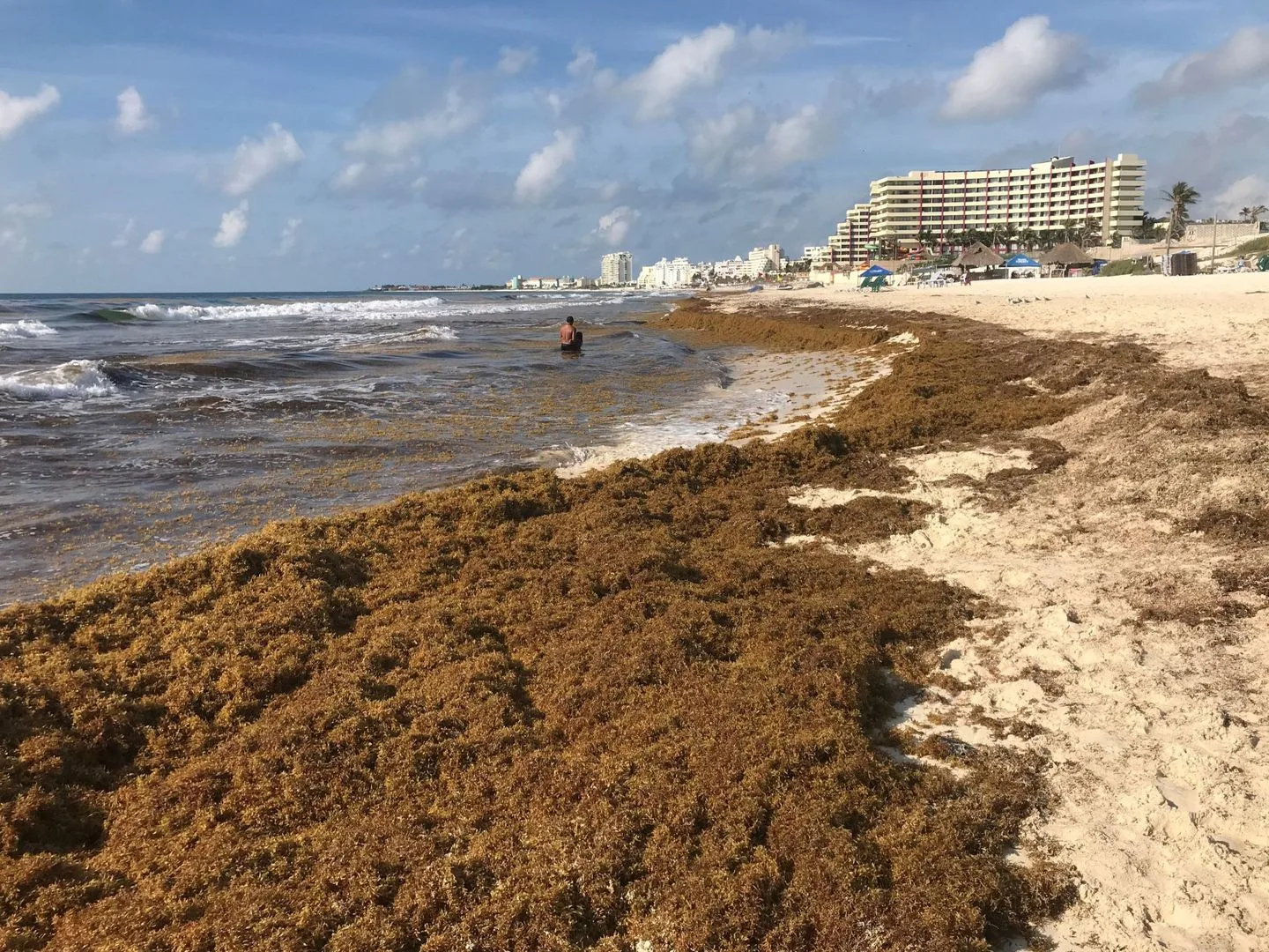 Playas con sargazo y vuelos costosos frenan al turismo en Quintana Roo