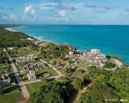 Anuncian acceso gratuito al Parque del Jaguar y presentan el plan "Tulum Renace"