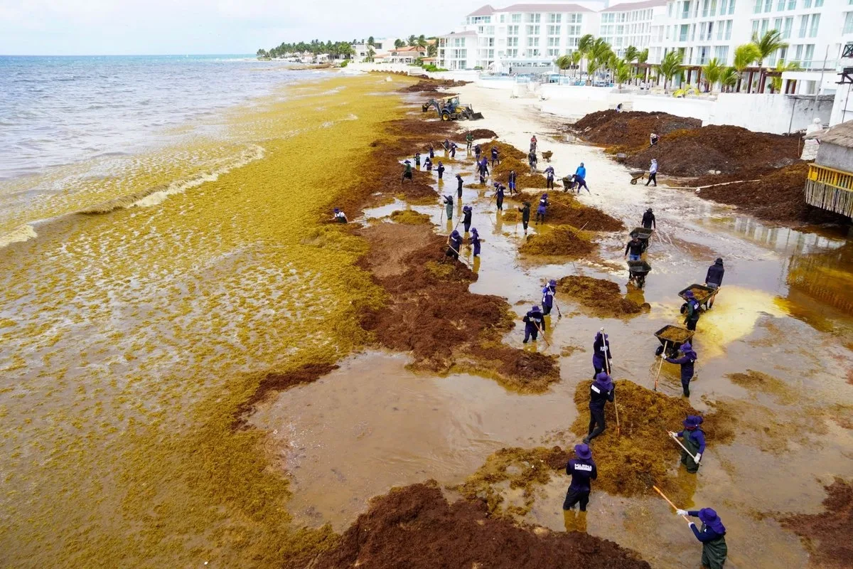 Turismo en Quintana Roo resiente caída por sargazo y conflictos internacionales
