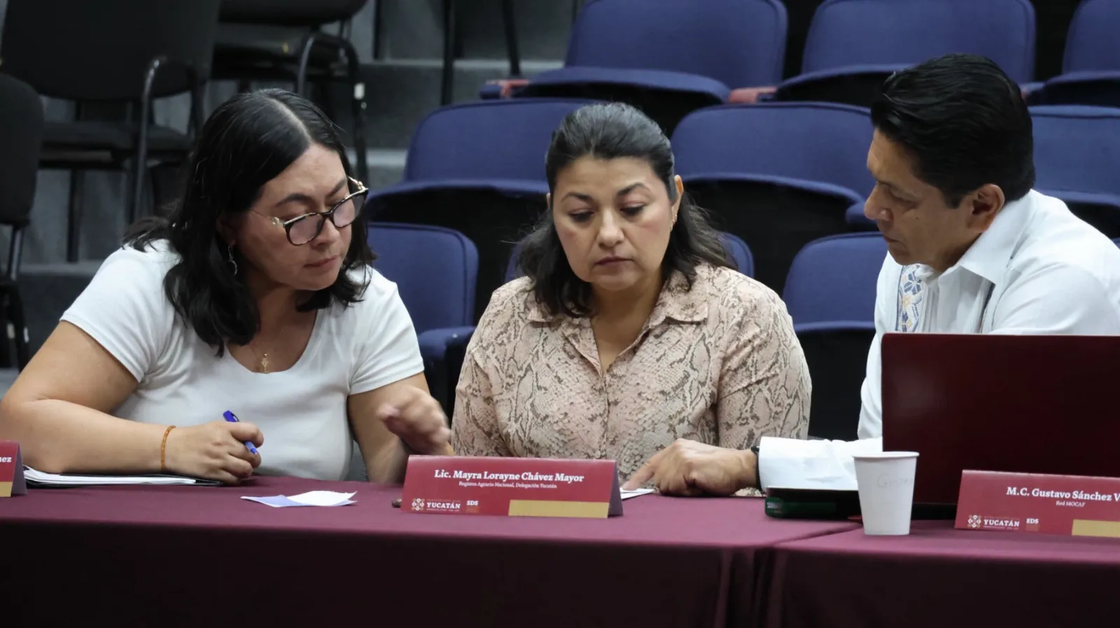 Suman alianzas para proteger selvas y comunidades de Yucatán