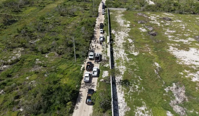 Profepa clausura 17 polígonos por cambio ilegal de uso de suelo en la Reserva de la Biosfera Ría Celestún, Yucatán