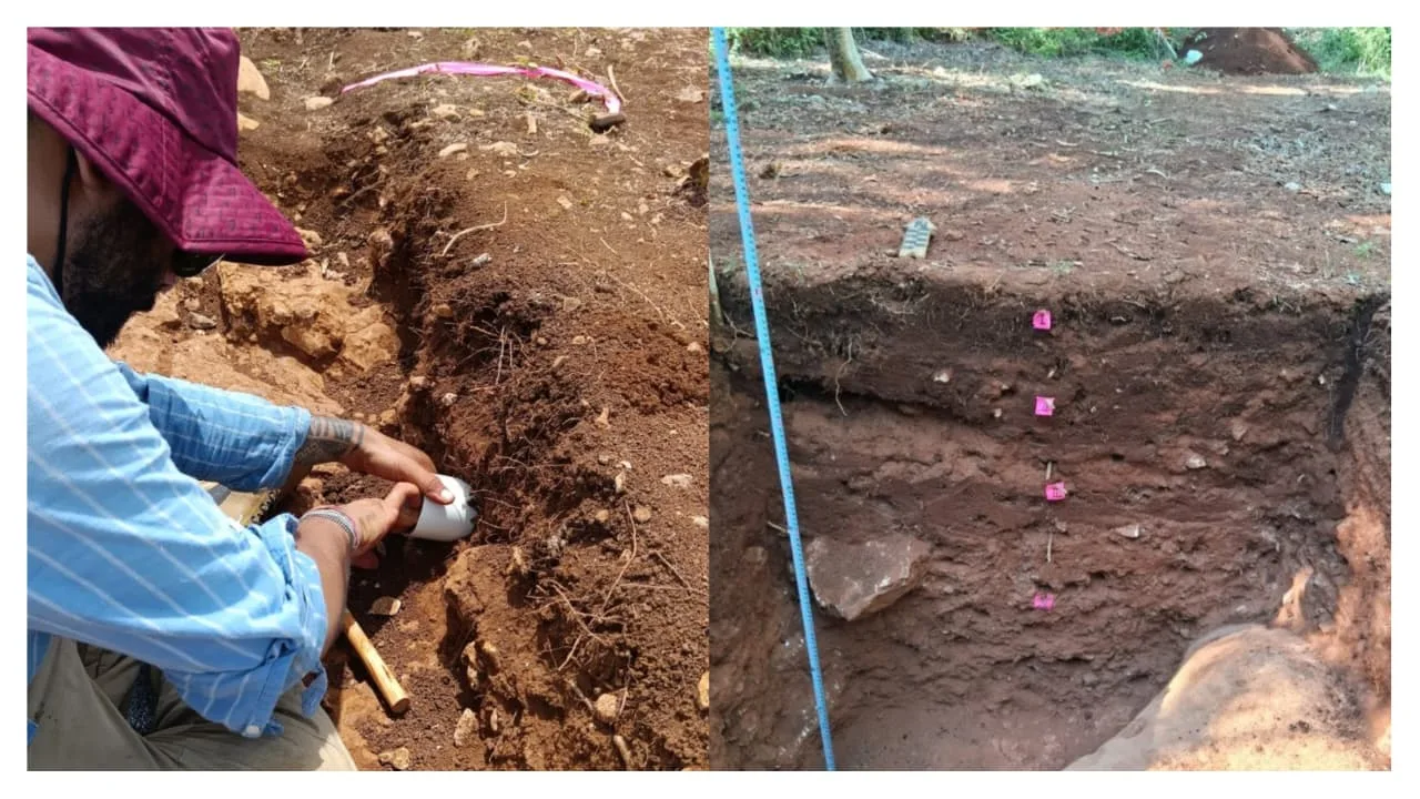 Estudio del INAH revela cómo los antiguos mayas aprovechaban el agua para cultivar alrededor de sus viviendas