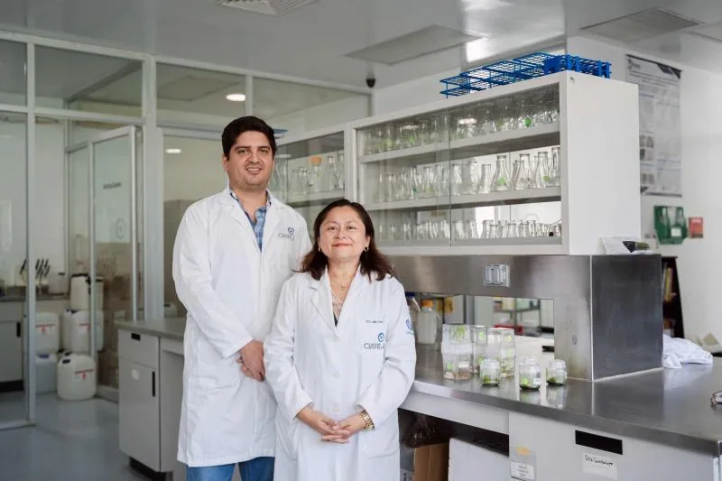 Yucatán será sede del Primer Congreso Internacional BIO-MAS 2026 sobre biotecnología vegetal