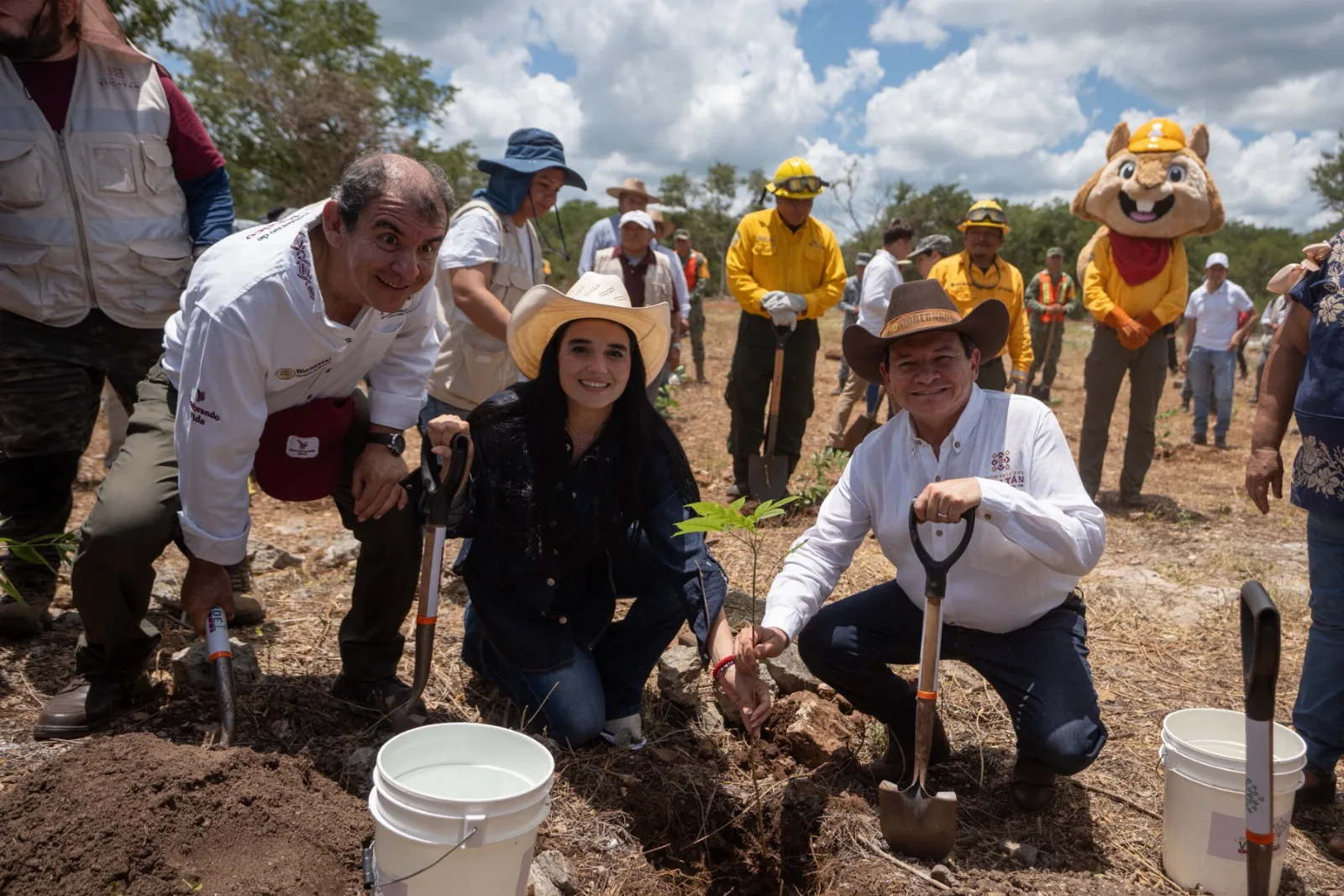 Yucatán reforesta 292 hectáreas con más de 64 mil plantas nativas; inversión supera los 18 mdp