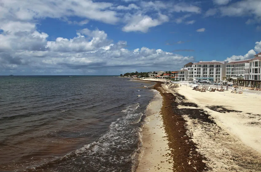 Sargazo afecta al turismo, pero trabajadores de Quintana Roo mantienen sus labores
