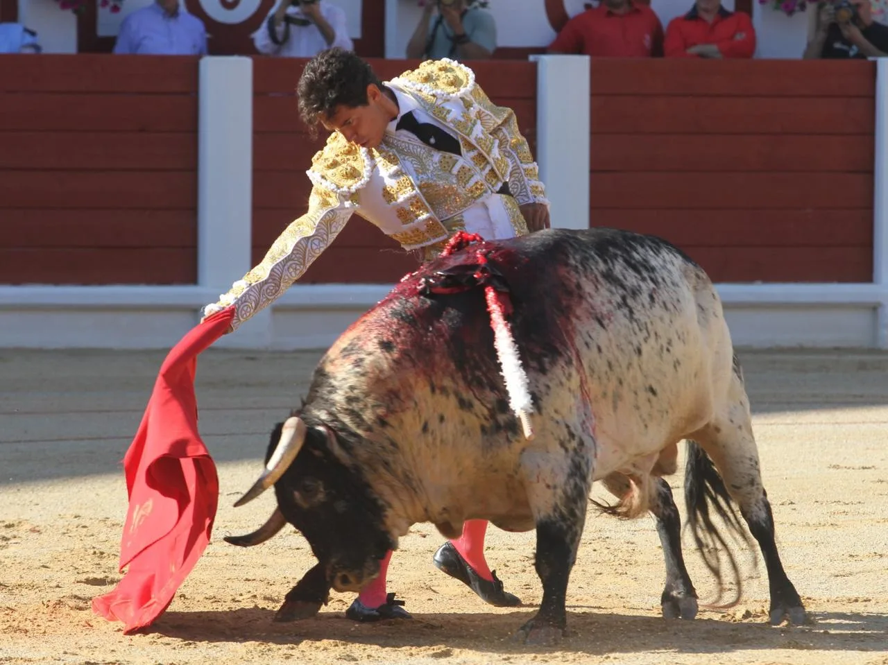 Diego Silveti celebra 15 años de alternativa y consolida su legado en la tauromaquia mexicana