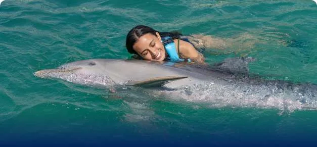 Informe alerta por condiciones de nueve delfines geriátricos en Dolphin Discovery
