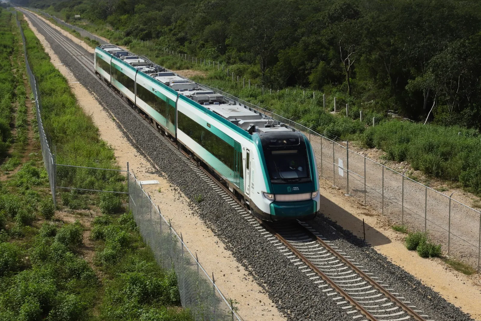 Sheinbaum decreta expropiación de casi cuatro hectáreas de ejido en Campeche para el Tren Maya
