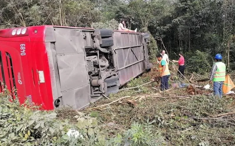 Pierde el control en la Cancún-Mérida, choca contra un árbol y deja tres lesionados
