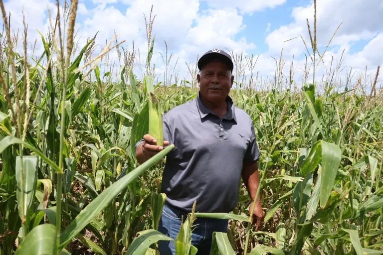 Quintana Roo registra crecimiento de 26.7% en actividades primarias