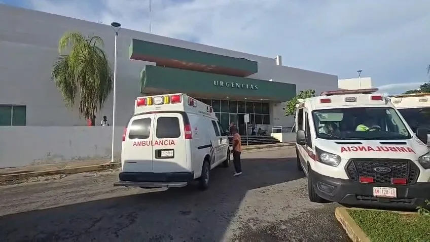Cinco niños de Nilchí, estables tras intoxicarse con fruta de un árbol fumigado