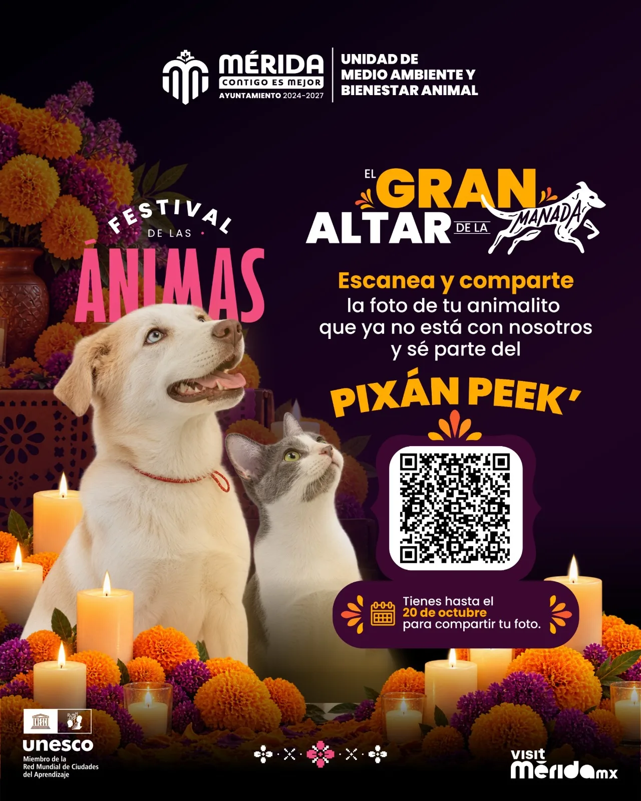 Pixán Peek del Ayuntamiento de Mérida, oportunidad para recordar a perros y gatos que dejaron huella