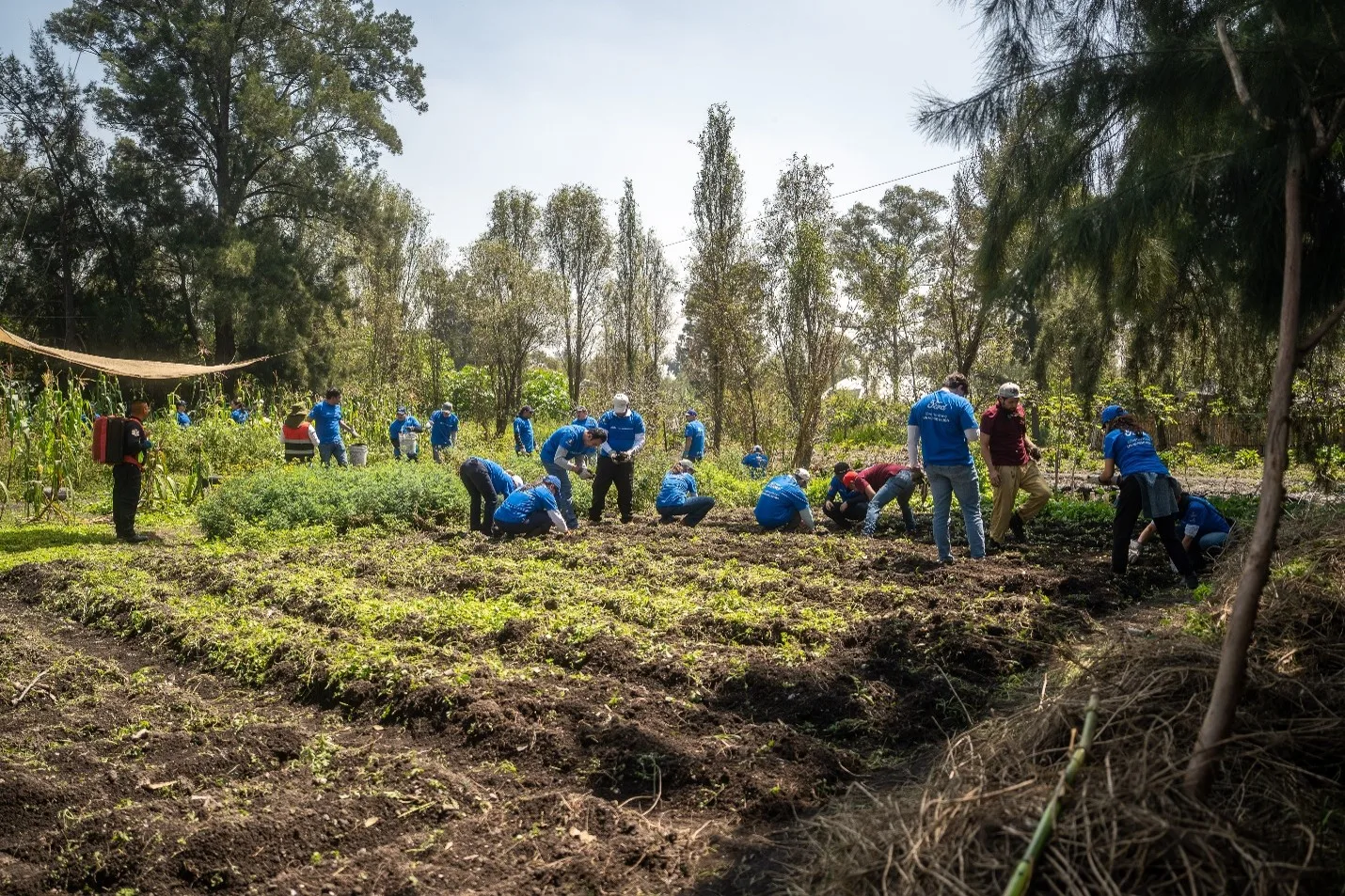 Ford de México moviliza a 350 voluntarios para transformar comunidades con proyectos de vivienda y medio ambiente
