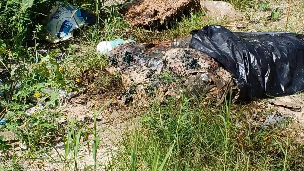 Alarma sanitaria en Escárcega: basurero clandestino amenaza a estudiantes de bachillerato