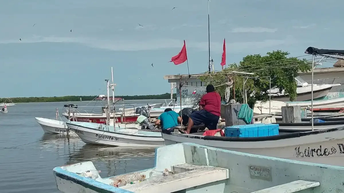 Conapesca abre en Quintana Roo la temporada de captura de caracol hasta abril de 2027