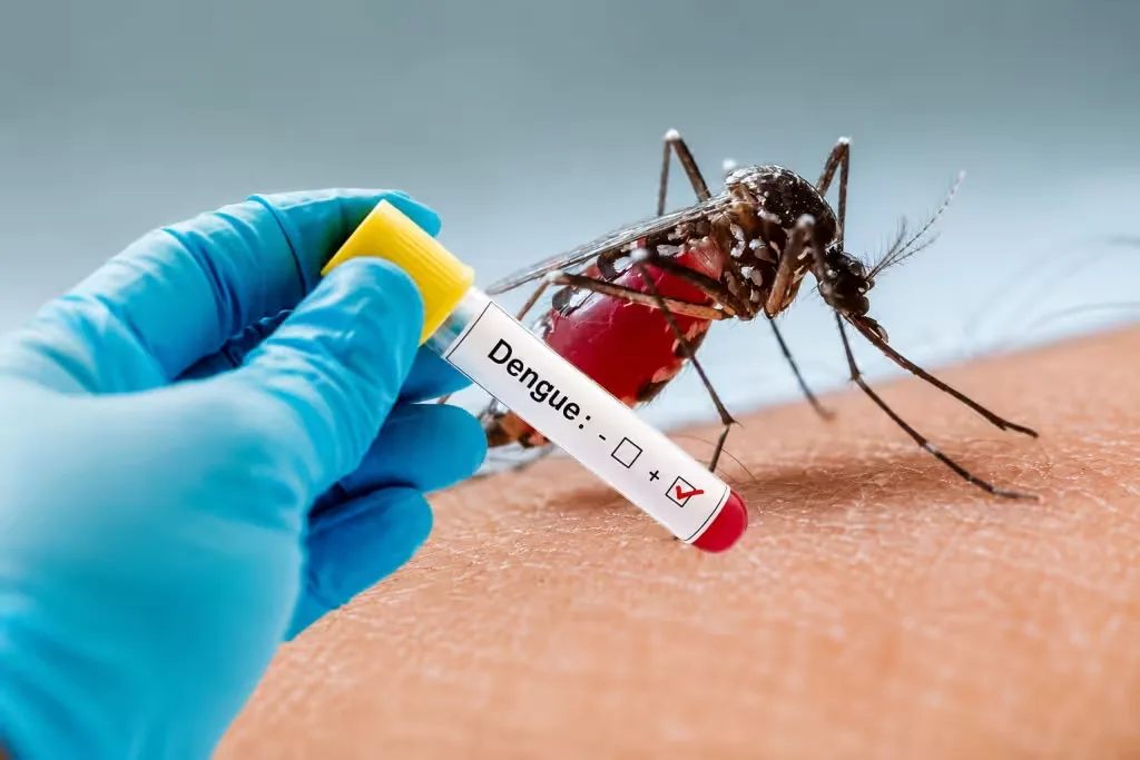 Dengue repunta en Quintana Roo: suman 336 casos y 26 contagios en una semana