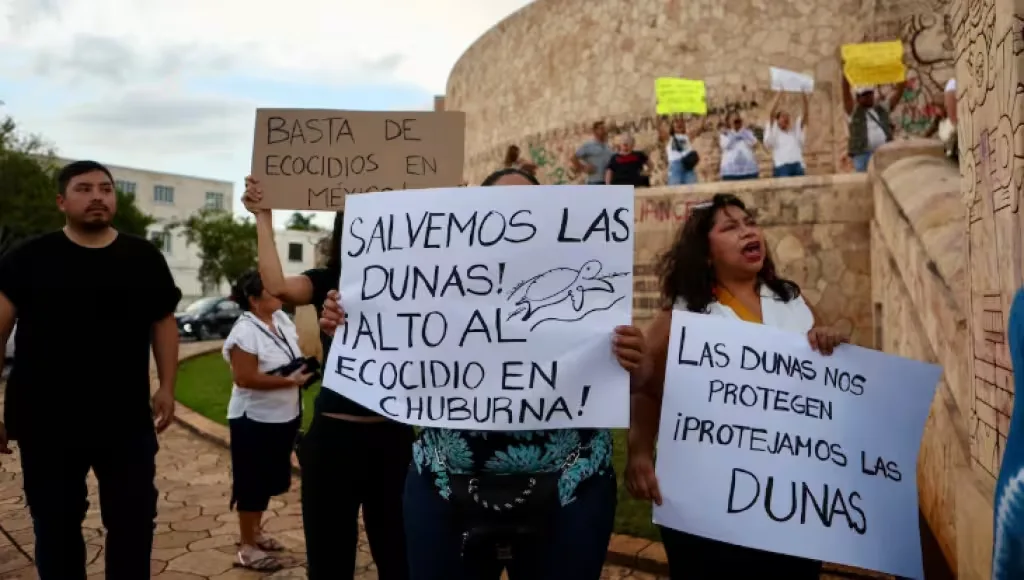 Exigen castigo por daño ambiental en Chuburná: colectivos presionan a Profepa