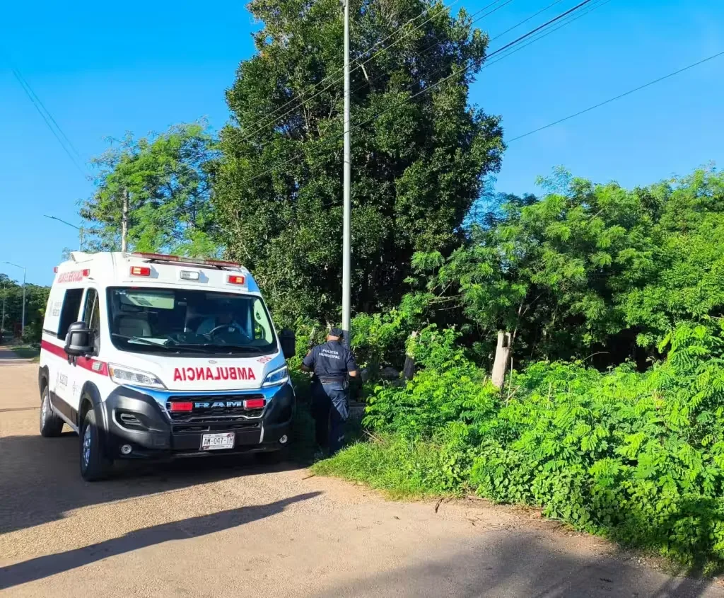 Hallan sin vida a campesino en Quintana Roo; investigan posible intoxicación por herbicida