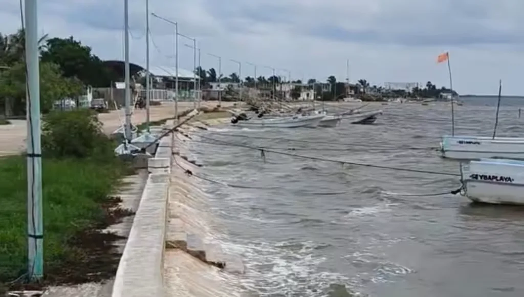 Isaías pone en alerta a Campeche: evacúan familias, suspenden clases y cierran puertos
