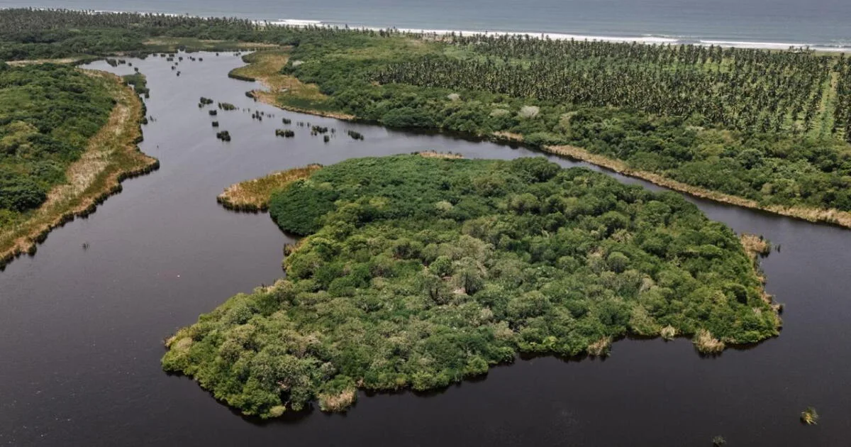 Pescadores y salineros de Cuyutlán resisten la expansión del Puerto de Manzanillo