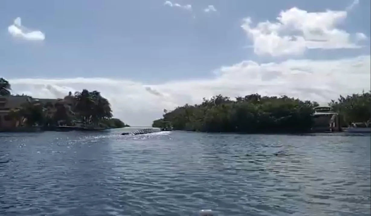 Puerto Aventuras inicia instalación de barrera anti-sargazo de kilómetro y medio