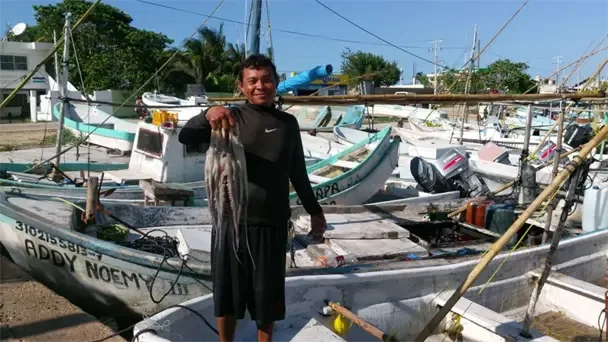 Pulpero yucateco reduce meta de captura a 20 mil toneladas por mal clima y baja pesca