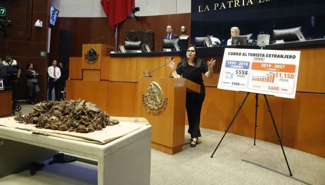 Senadora de Quintana Roo exhibe 20 kilos de sargazo en el Senado para exigir presupuesto