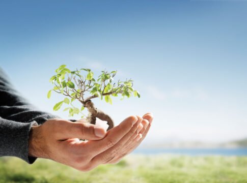 Algo más que palabras