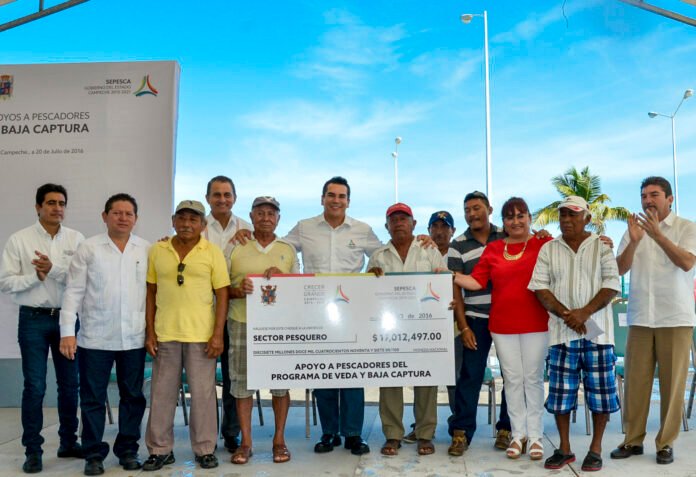 0082cddb5f33169d6cdc431e3daf9d44