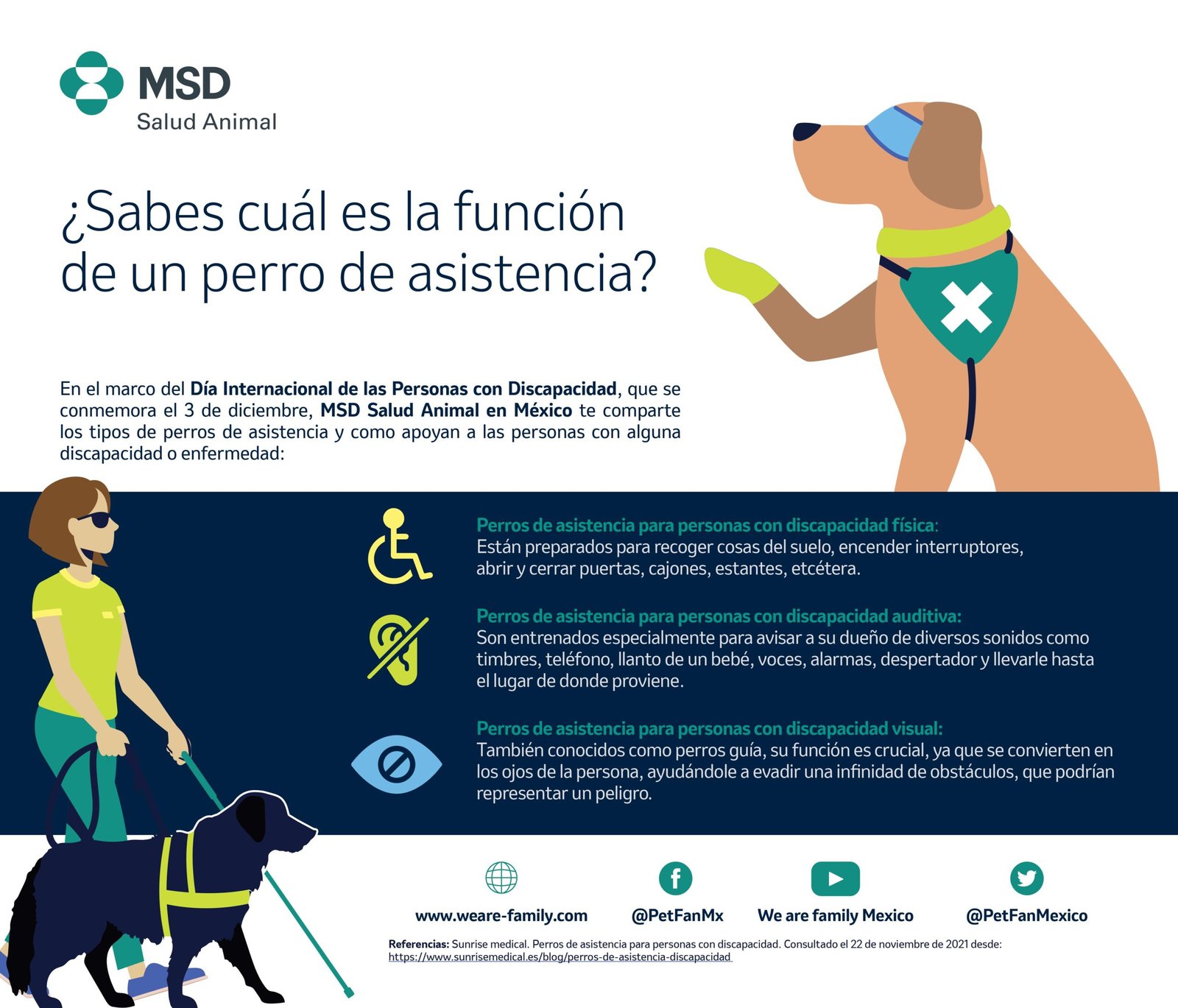 Perros de servicio, aliados de las personas con discapacidad