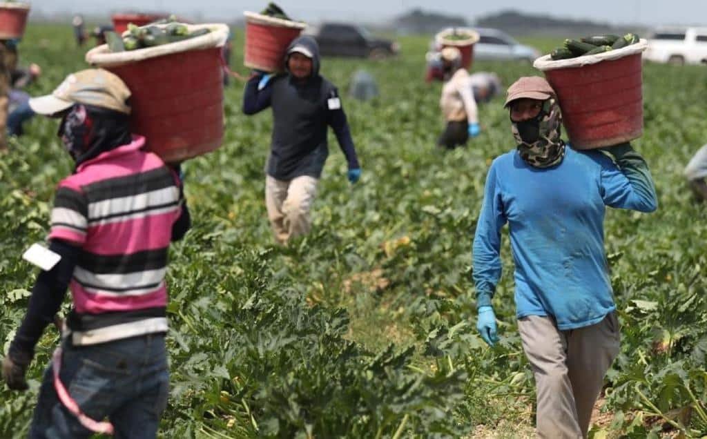 Escasez de mano obra en EEUU podría ser menor si se dejara entrar a inmigrantes