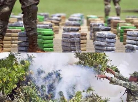 350 000 asesinados y más de 72 000 desaparecidos; AMLO debe definir una estrategia