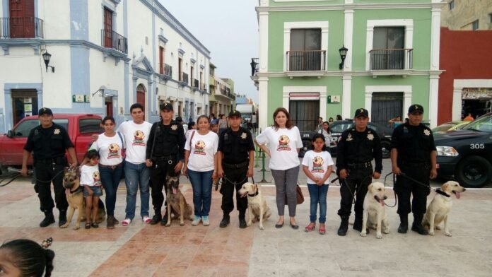 0a070d8efd174f5f6e6daf0f5b57baf0