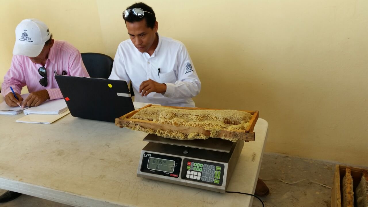 Culmina el concurso El Cuadro con Mayor Peso de Miel 2016