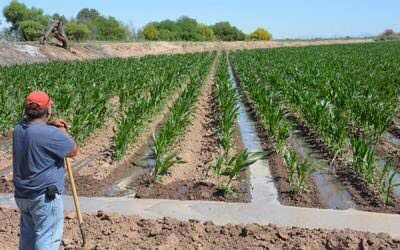 México nunca alcanzará la autosuficiencia alimentaria