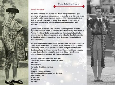 Sueño de Navidad...