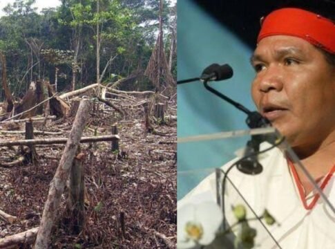 97 defensores de derechos humanos asesinados durante el gobierno de AMLO