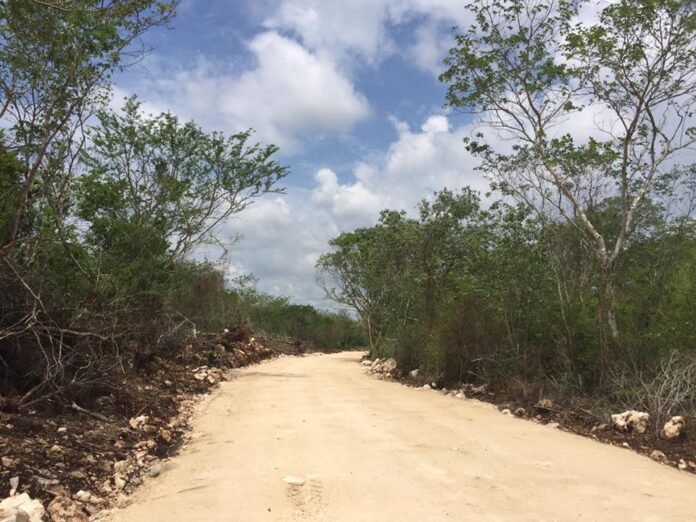 0f0b70adaec5f20d96c6c24caee652f5