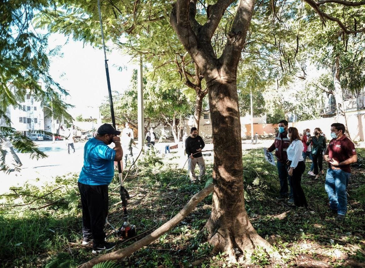 Con “brigadas integrales” gobierno de BJ garantiza espacios limpios