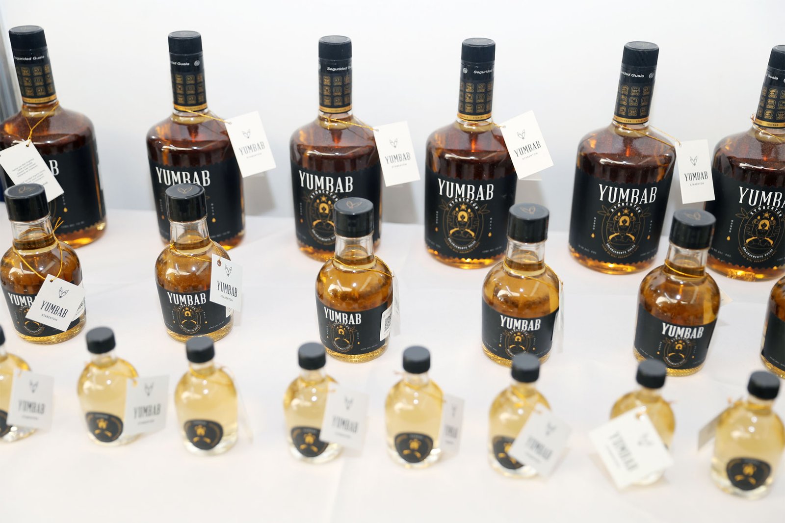 La mejor producción del estado, presente en Yucatán Expone