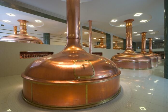 ENRIQUEciendo la noticia