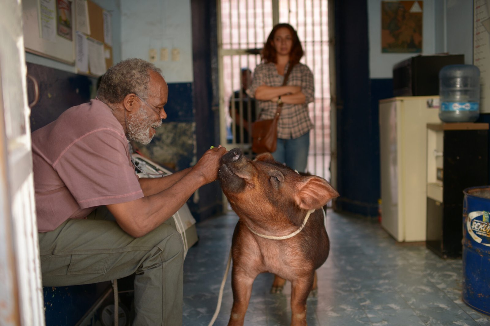 Sr. Pig
