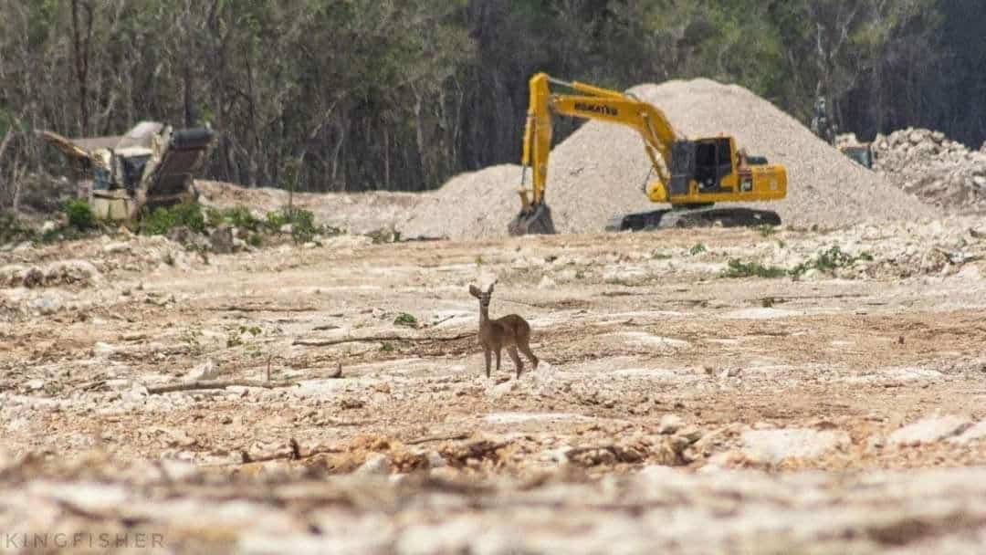 AMLO heredará un territorio en ruinas a las futuras generaciones