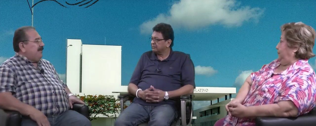 Decisiones estratégicas y la participación ciudadana yucateca: Claudio Coello, Francisco López Vargas y Blanca Estrada