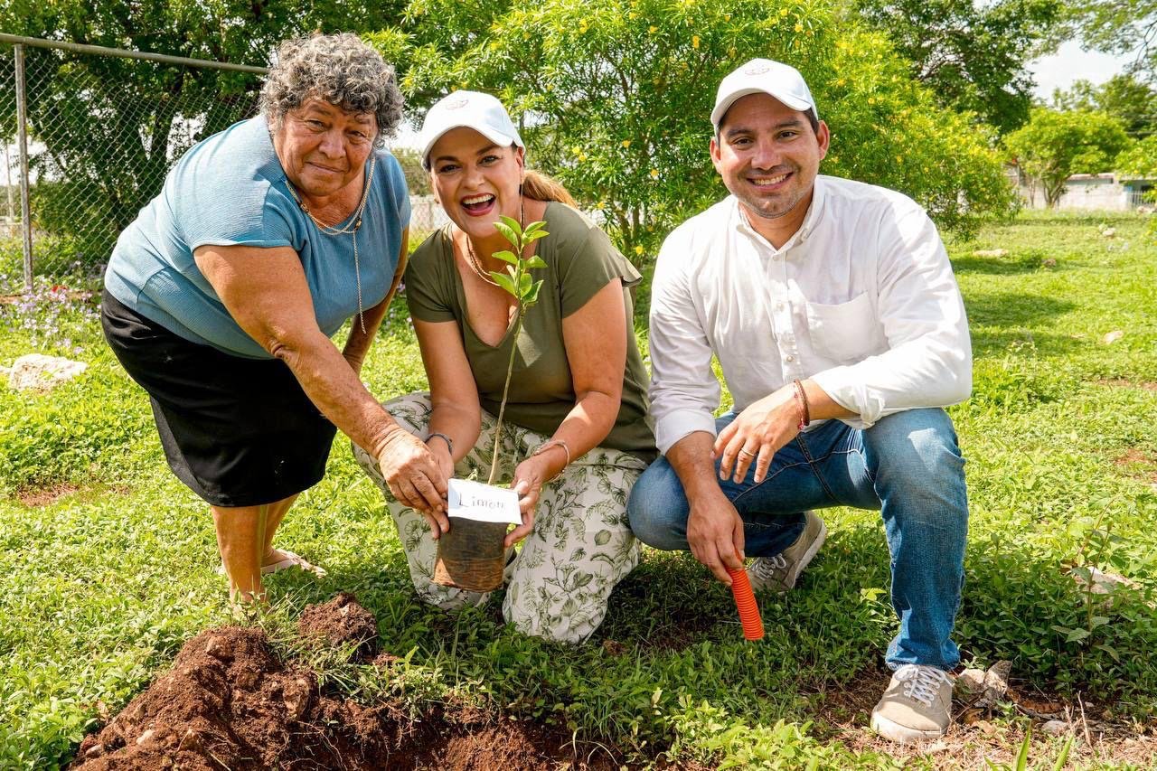 Chucho Pérez Ballote Cumple Meta de Plantar 21 Mil Árboles en Mérida