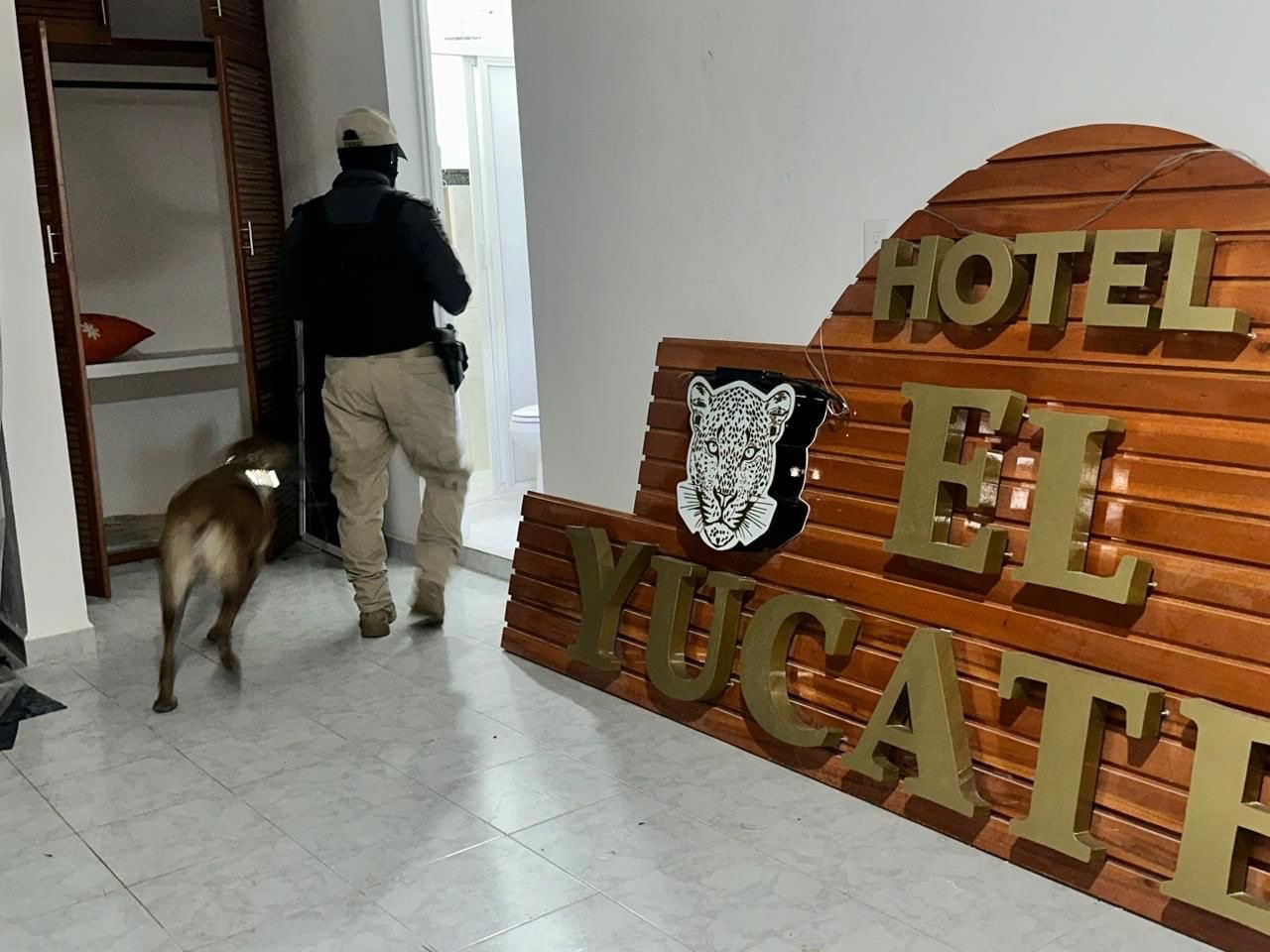 Decomiso de Droga en Hotel de Valladolid: Dos Detenidos en Operativo Conjunto de Fuerzas Federales y Estatales