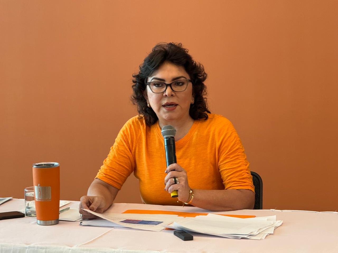 Federación 'castiga' a Yucatán, el más afectado por el recorte de presupuesto: Dip. Ivonne Ortega