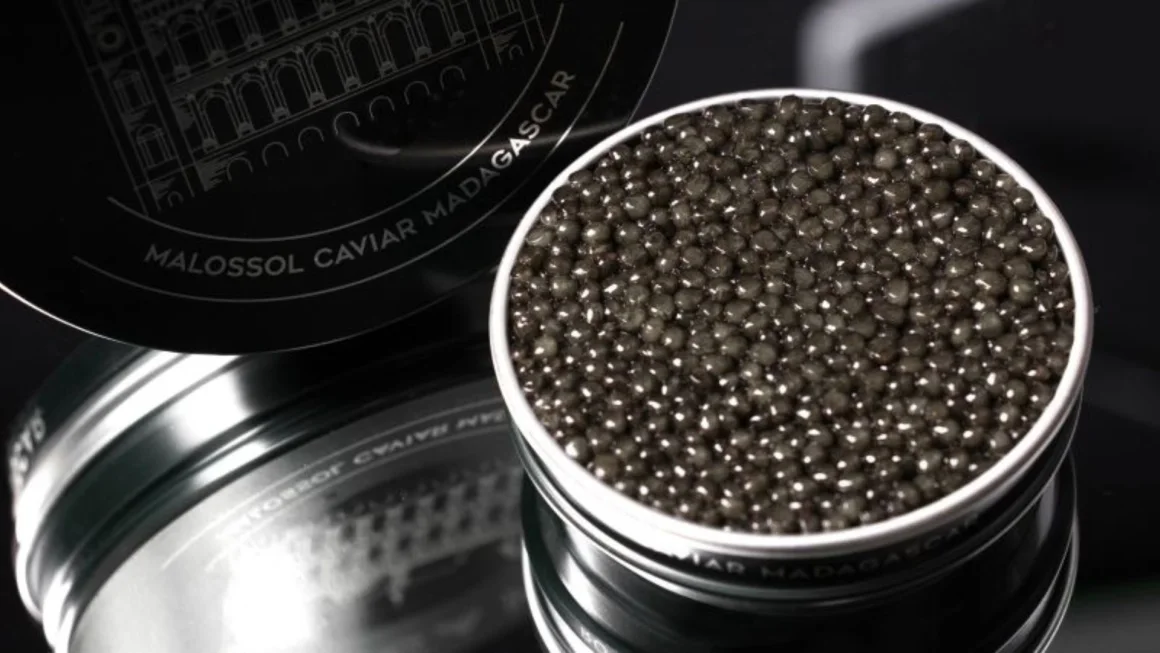 África irrumpe en el mercado del lujo con su primer caviar de US$ 11.960 por kilogramo